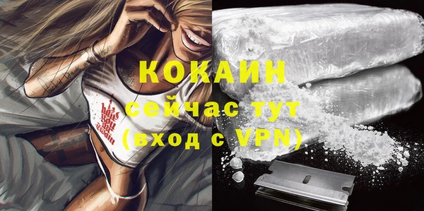 твердый Абаза