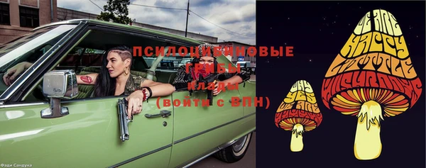 твердый Абаза